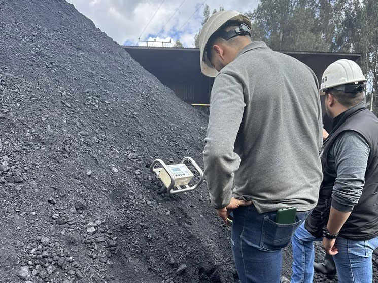 MILPA Y CARBONES ANDINOS