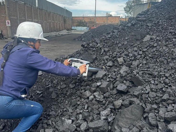 LAS MUJERES EN EL SECTOR